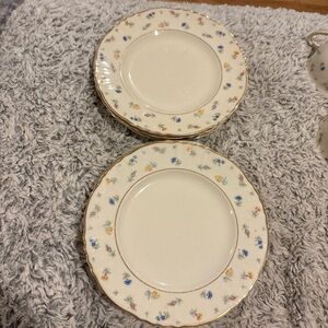 Syracuse China Suzanne pattern plate Federal shape Dessert Plates Set Of 11